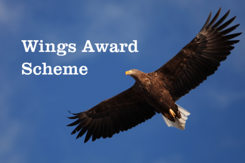 Permalink to:Wings Award Scheme
